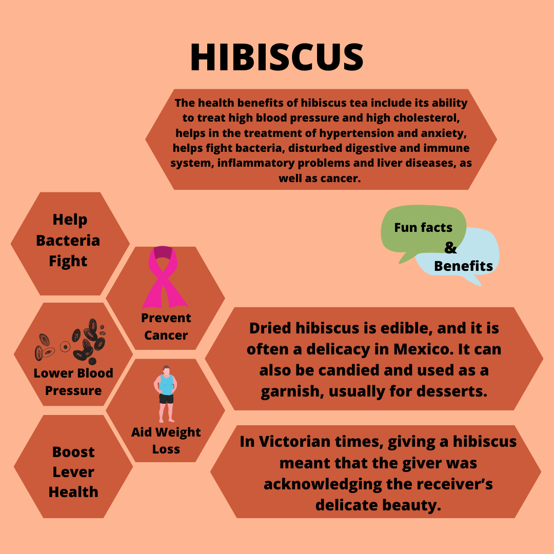Hibiscus herbal tea flower whole (Copy)