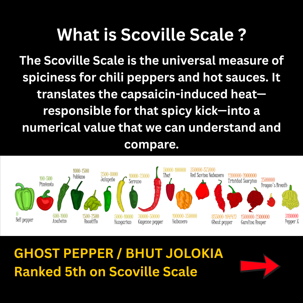 Bhut Jolokia Chilli Whole 25 Grams | Ghost Pepper | Naga Chili | King Chillies | Raja Mirchi