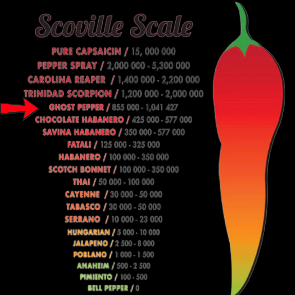 Bhut Jolokia Chilli Whole 25 Grams | Ghost Pepper | Naga Chili | King Chillies | Raja Mirchi