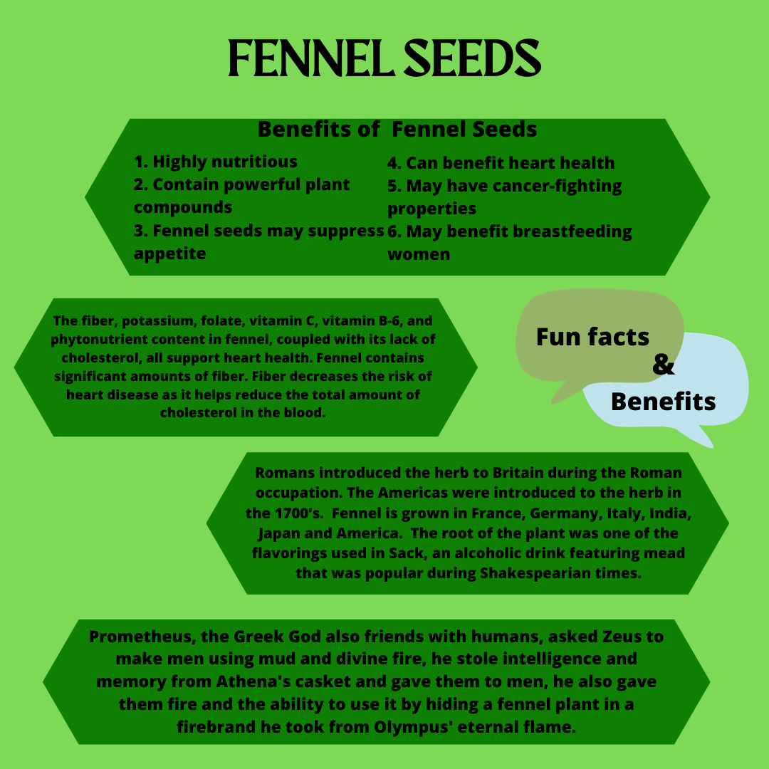 Fennel seeds saunf sabut
