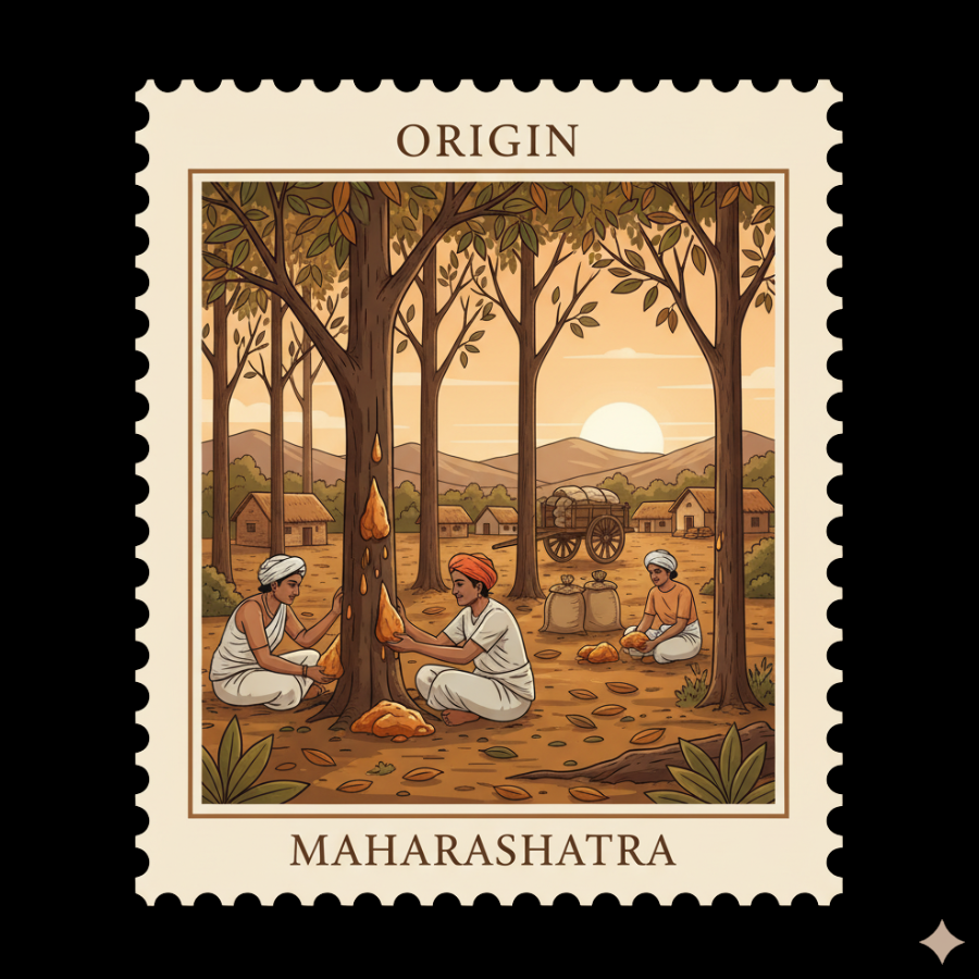 Maharashtra Forest Essentials