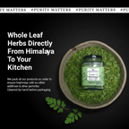 Premium Moringa Whole Leaf (Sabut Patta)