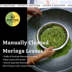 Premium Moringa Whole Leaf (Sabut Patta)