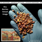 Sea Buckthorn Dry Berries | Naturally Sun-Dried | Hand-Cleaned | Ladakh Grown