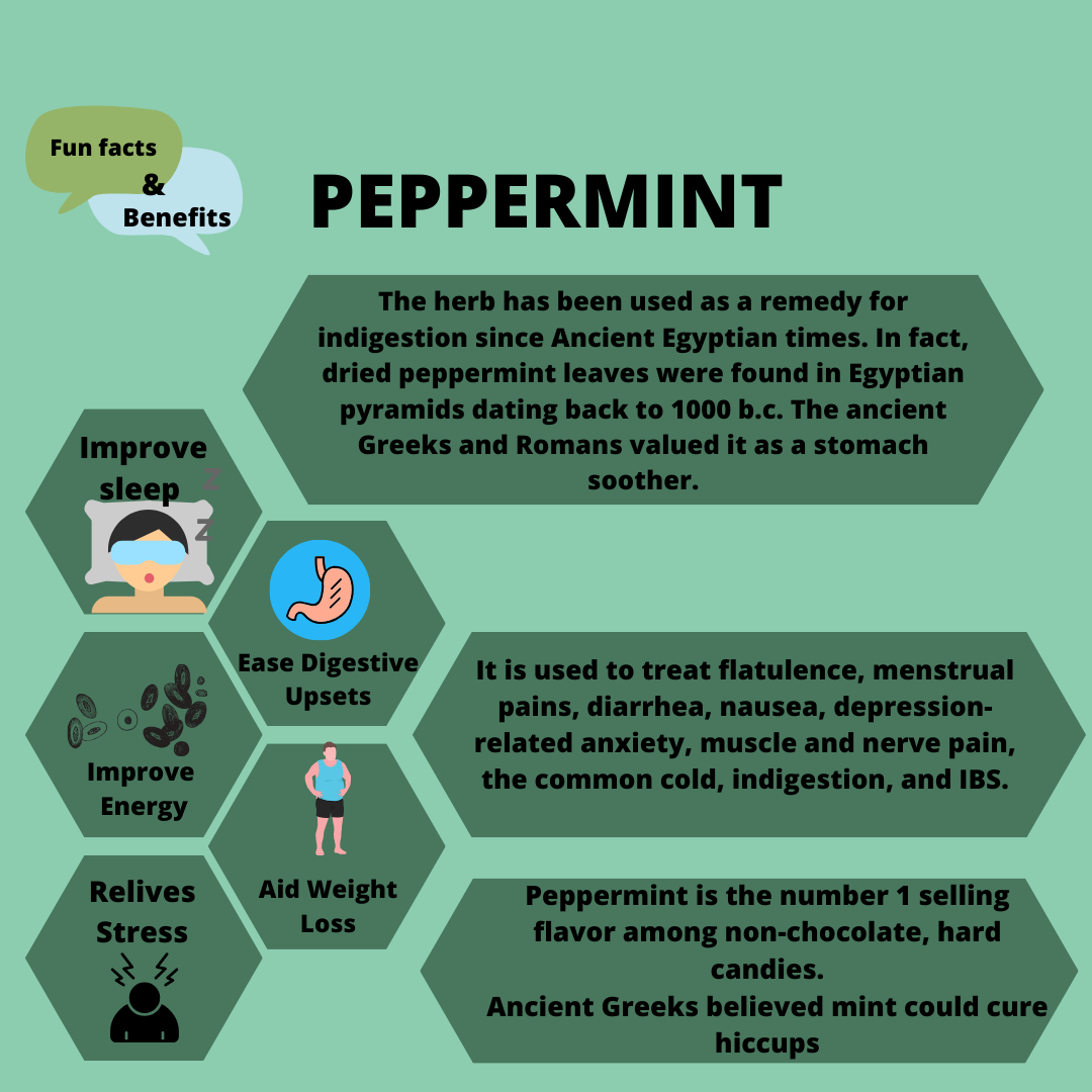 Peppermint Whole Leaf Herbs