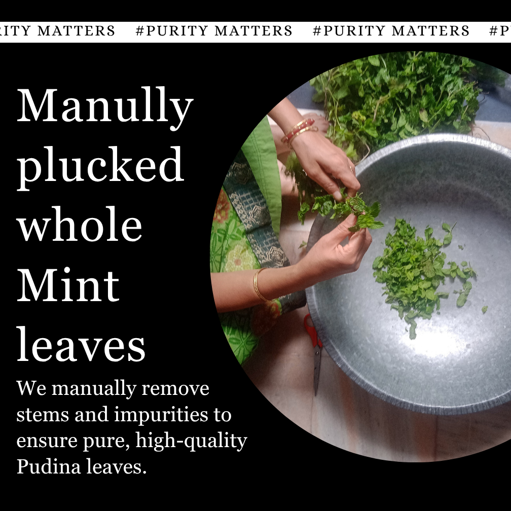 Mint Whole Leaf, Pudina Patta sabut - stem less.