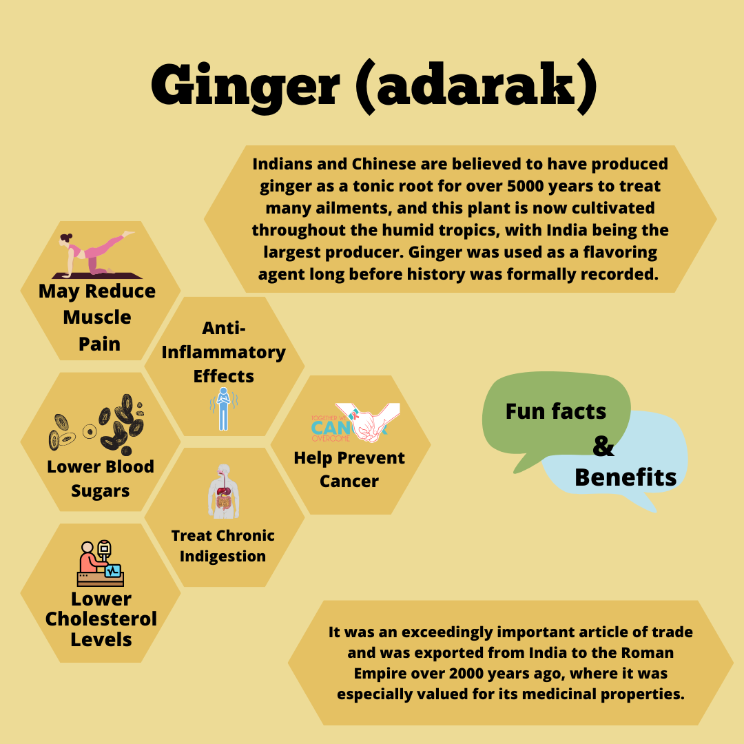 Ginger powder, sonth adarak powder