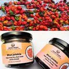 Bhut Jolokia Chilli Whole 25 Grams | Ghost Pepper | Naga Chili | King Chillies | Raja Mirchi