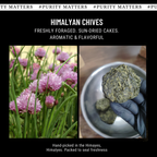 Wild Himalayan Chives (Skotse)