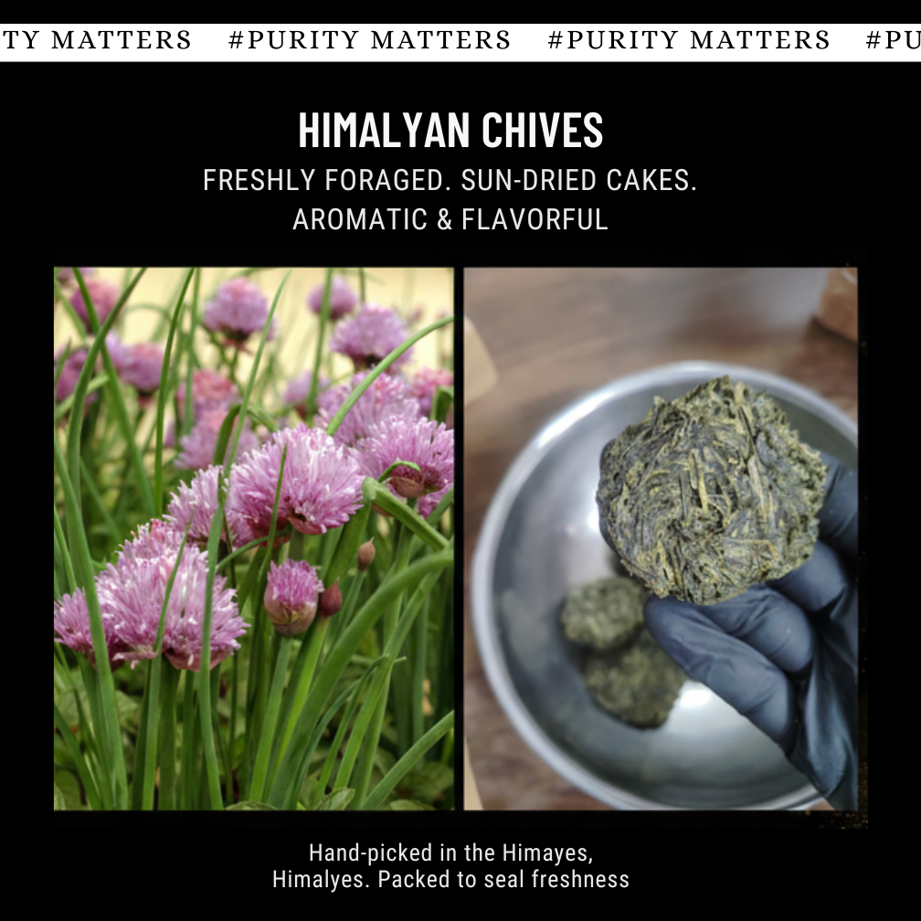 Wild Himalayan Chives (Skotse)