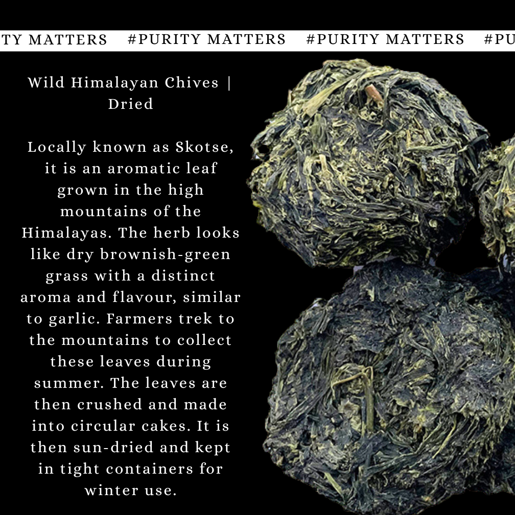 Wild Himalayan Chives (Skotse)